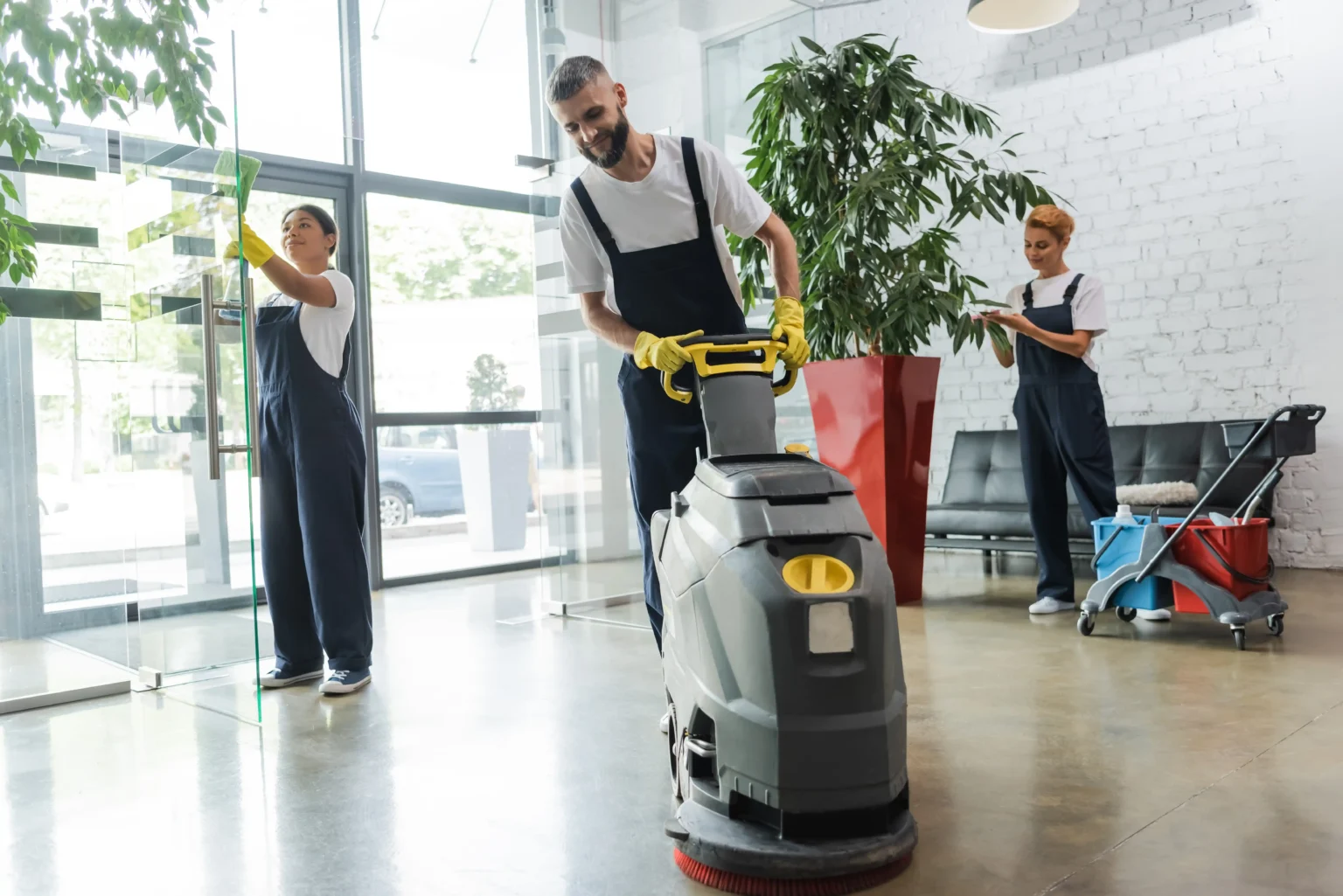 Carpet Cleaning